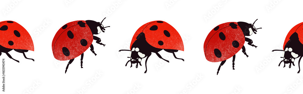 Fototapeta premium Ladybug icon border. Ladybug silhouette symbol. Ladybug border isolated on white background