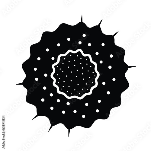 Pigmented Basal Cell Carcinoma Variant