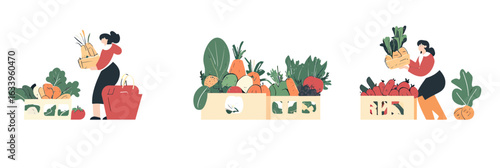 Woman unpacking fresh organic groceries from crates with various vegetables in flat minimalist vector style for healthy food concept