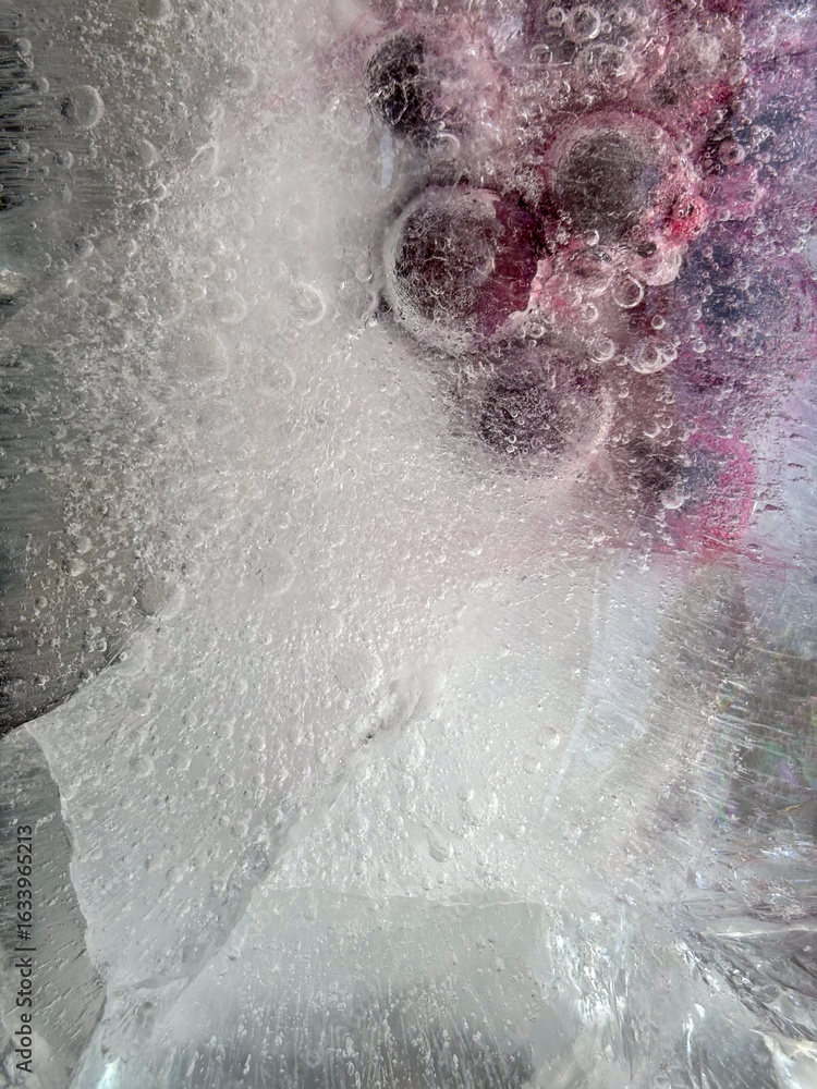Fototapeta premium Grapes and Frosted Ice Texture Background