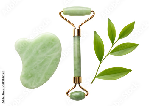 Jade roller gua sha green leaves isolated on a transparent background image