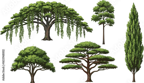 Collection of five unique tree varieties with lush green leaves and distinct shapes, isolated on white background, perfect for design.