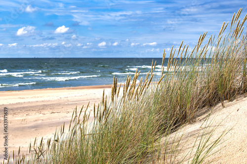 A beautiful beach scene with golden sand, sea oats, and a vast ocean under a clear blue sky.