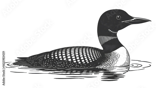 A black and white woodcut illustration of a loon swimming on water.
