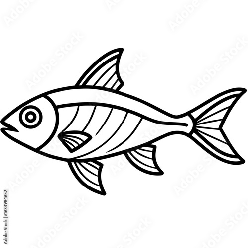 Simple Neon Tetra on White