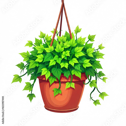 Swinging flower growing in a pot, creeper
