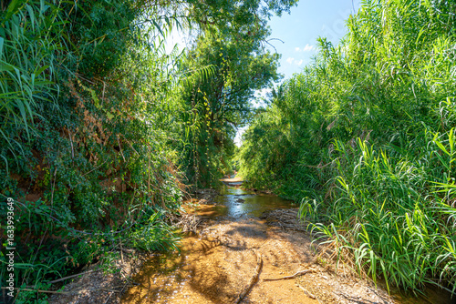 Pedestrian path to the Pego do Inferno waterfall - Tavira - Algarve - Portugal