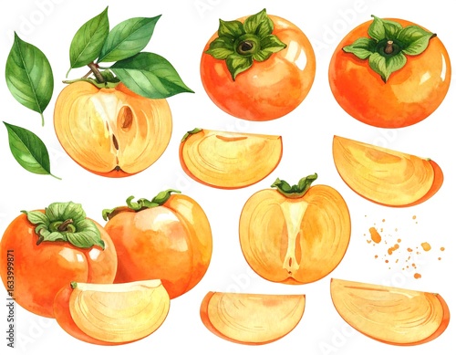 Watercolor persimmons, whole and sliced