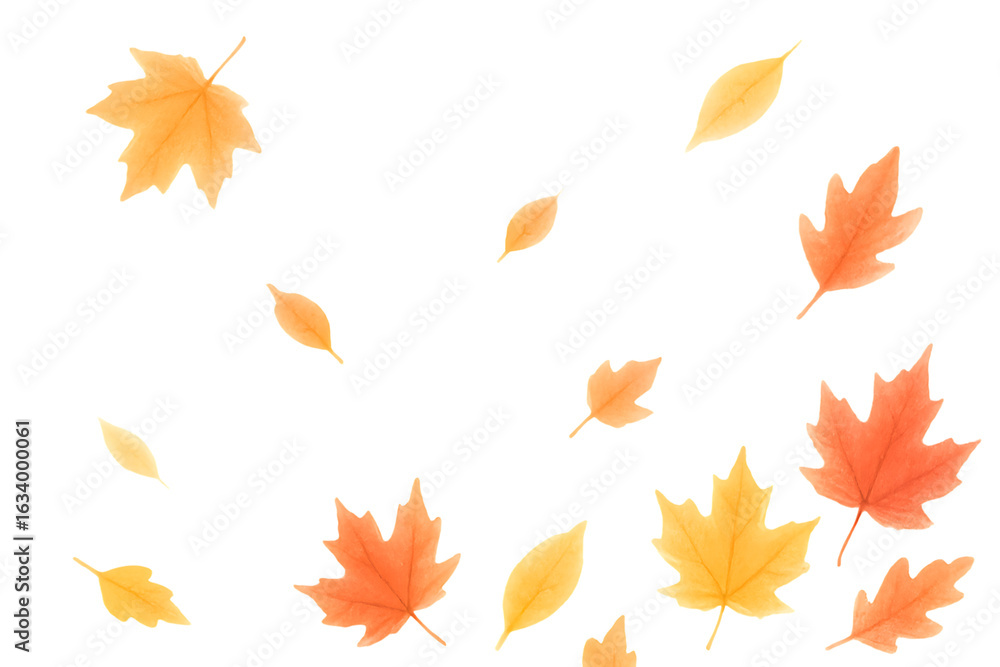 Fototapeta premium Autumn leaves falling isolated on transparent background