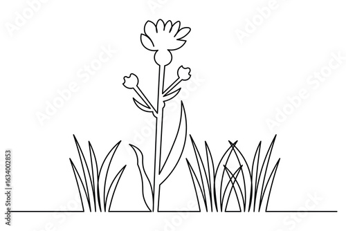 Decorative continuous one line art of grass and flower elements for clean and minimal