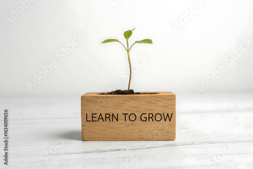 New plant sprouts in wooden pot with inspiring 