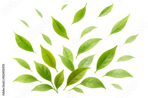 Scattered green leaves isolated on transparent background