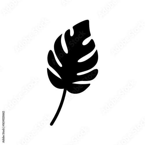Monstera deliciosa leaf silhouette in black, isolated on white background in vector