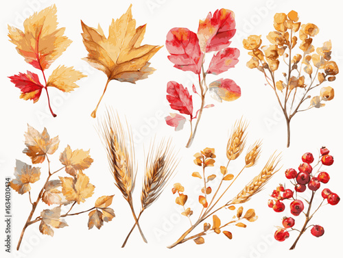 Autumn Botanical Elements – Watercolor Vector Clipart