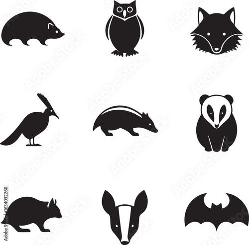 Collection of nocturnal animal silhouettes