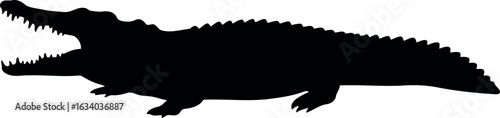 Alligator silhouette open mouth wildlife vector