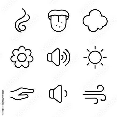 Sensory Delight Icons