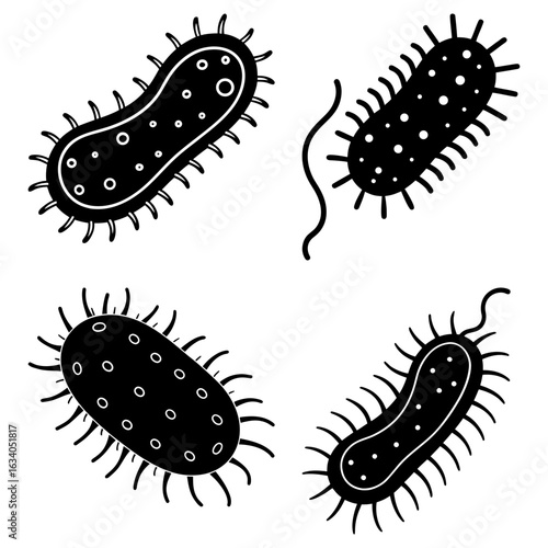 Illustration of four black and white bacteria cells with flagella and pili on a white background surface