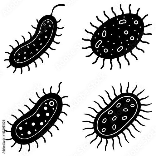 Illustration of four black and white bacteria cells with flagella and internal structures displayed
