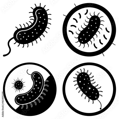 Illustration of four bacteria cells with flagella and pili in black and white style drawing design
