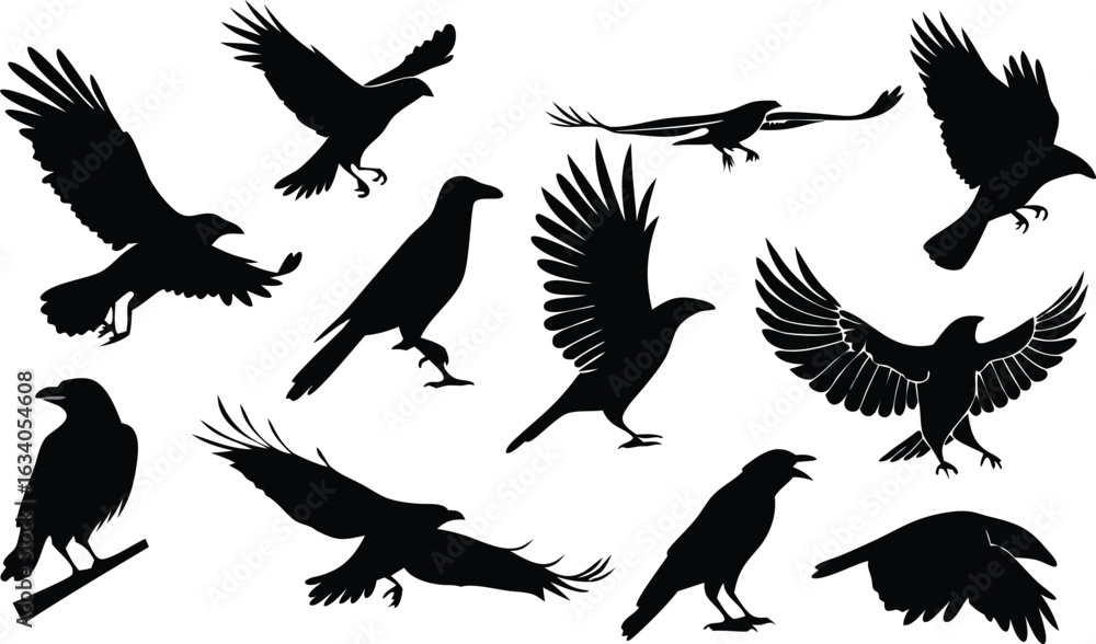 Obraz premium bird, silhouette, vector, eagle, flying, animal, illustration, wing, nature, fly, birds, dove, hawk, feather, black, pigeon, wild, wings, crow, symbol, wildlife, icon, art, tattoo, design
