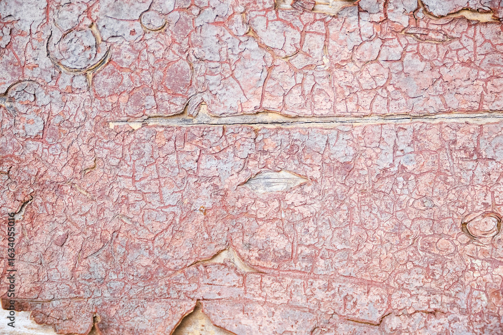 Fototapeta premium High-resolution texture of red cracked peeling paint on wood. Weathered surface with flakes and deep cracks. Includes color, monochrome and processed versions.
