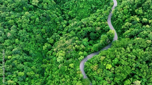 Aerial view of a road in the middle of the forest , road curve construction up to mountain