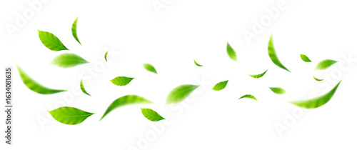 flying leaves on white background for design elements