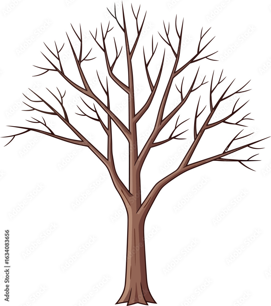 Obraz premium A simple illustration of a deciduous tree with bare branches against a plain white background image scene