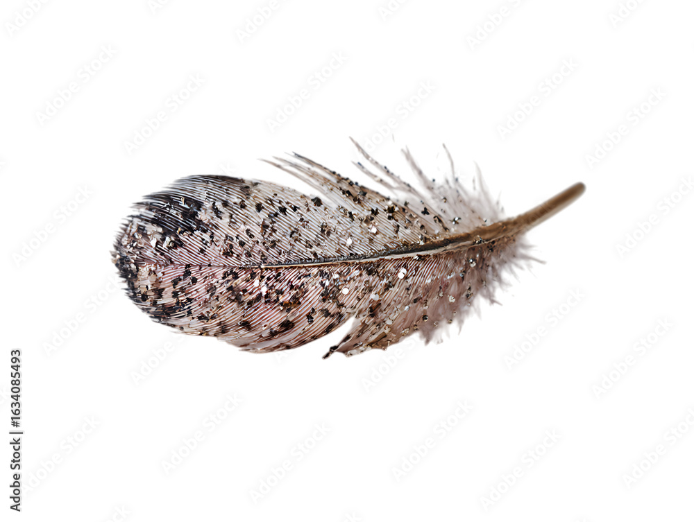 Fototapeta premium Feather Dust Charm Gentle Clean Power