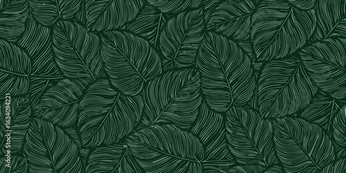 Wallpaper Mural Elegant dark green feather pattern background Torontodigital.ca