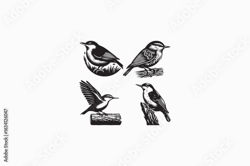 A Nuthatch bird vector silhouettes black image made by adobe illustrator .eps