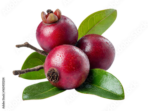 Kokum Organic Juice Boosts Immune System