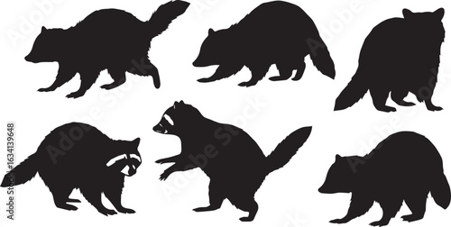 Group of six black raccoon silhouettes in different stances on a white background raccoons animal