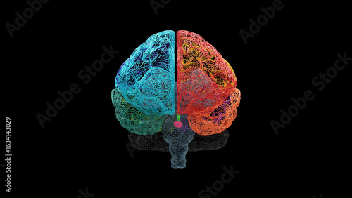 Foto Front view of a human brain in wireframe mesh with each lobe displayed in distinct colors and the pineal gland highlighted, shown on a black background for educational and anatomical use