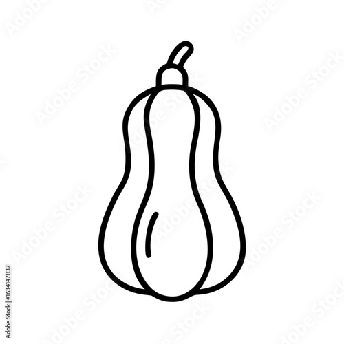 Line art illustration of a squash vegetable on white background  
