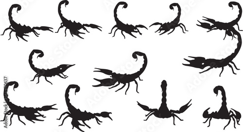 Ten Black Scorpion Silhouettes in Various Poses on a White Background scorpions