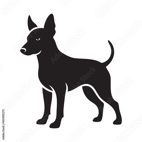 Vector art of silhouette of a miniature pinscher dog standing attentively with its ears perked up and tail slightly curled in a simple design