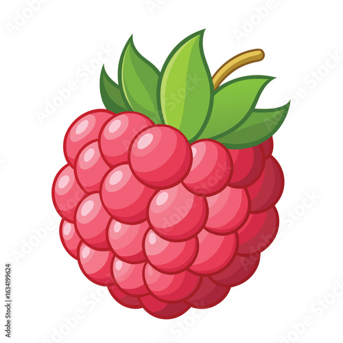 Raspberry vector illustration set. Collection of ripe raspberries isolated on background. Natural summer fruit .