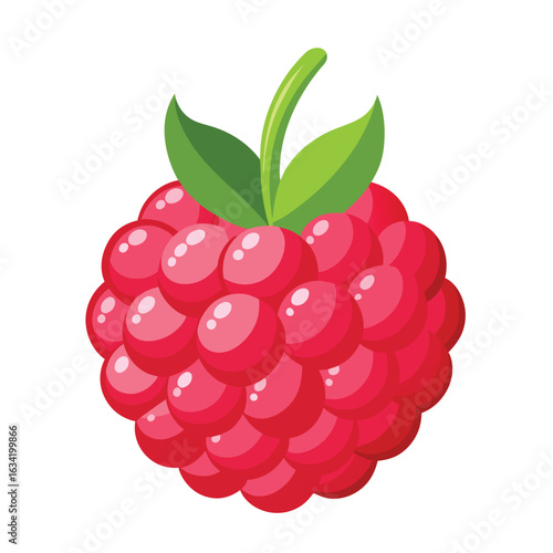 Raspberry vector illustration set. Collection of ripe raspberries isolated on background. Natural summer fruit .