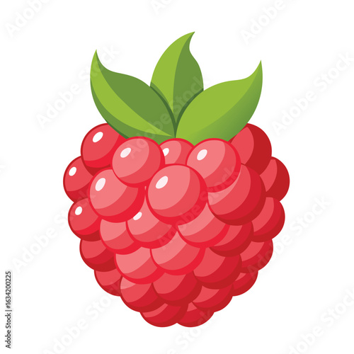 Raspberry vector illustration set. Collection of ripe raspberries isolated on background. Natural summer fruit .