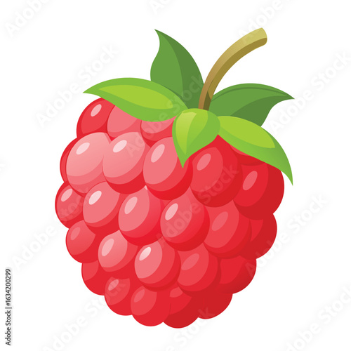 Raspberry vector illustration set. Collection of ripe raspberries isolated on background. Natural summer fruit .