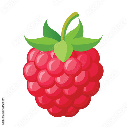 Raspberry vector illustration set. Collection of ripe raspberries isolated on background. Natural summer fruit .