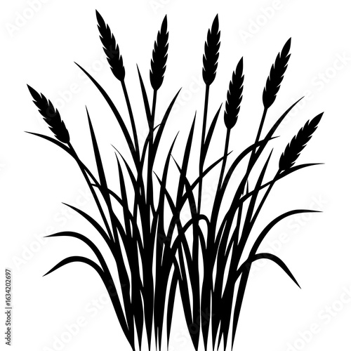 Prairie Grass Silhouette Vector on White Background