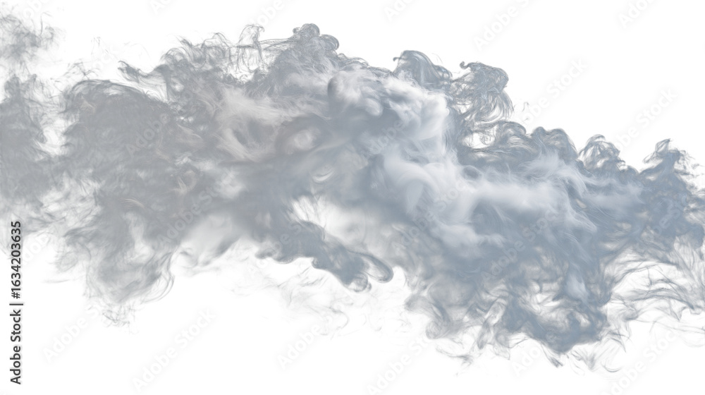 Fototapeta premium abstract fluffy grey cloud mist fog dark white smoke isolated on white background