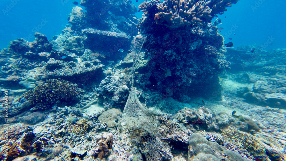 Naklejka premium Old fishing net on a coral reef. Abandoned fishing net with holes underwater.