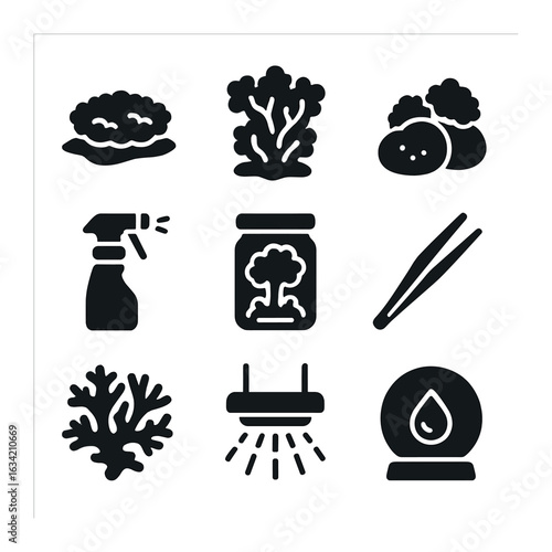 Moss and Lichen Icons. Solid, filled icons set of moss and lichen culture: sheet moss, reindeer moss, moss