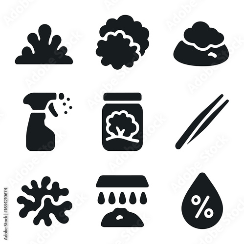 Moss and Lichen Icons. Solid, filled icons set of moss and lichen culture: sheet moss, reindeer moss, moss