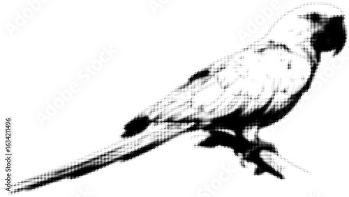 Monochrome parrot illustration with halftone effect and striking detail