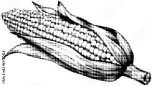 Black and white illustration of a corn cob with detailed kernels, pop art style